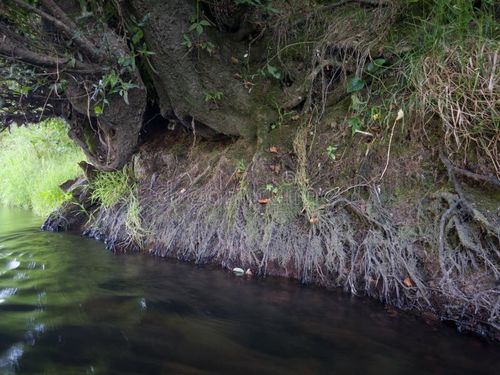 China neuesten Nachrichten über Suspended Particles from River Erosion: Verständnis ihrer Auswirkungen auf die Luftqualität und die Notwendigkeit von Luftreinigern